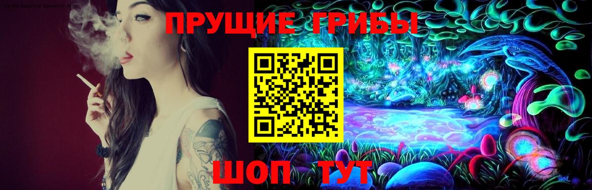 Галлюциногенные грибы Psilocybine cubensis  цена   Псилоцибиновые грибы Psilocybine cubensis  Белово  Вход с VPN 